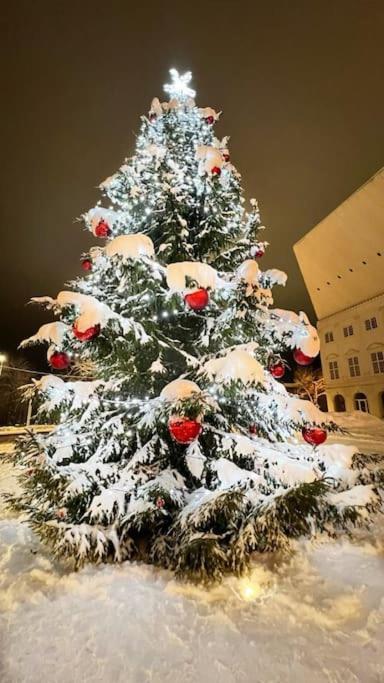 Comfort Apartment In Narva City Center ภายนอก รูปภาพ